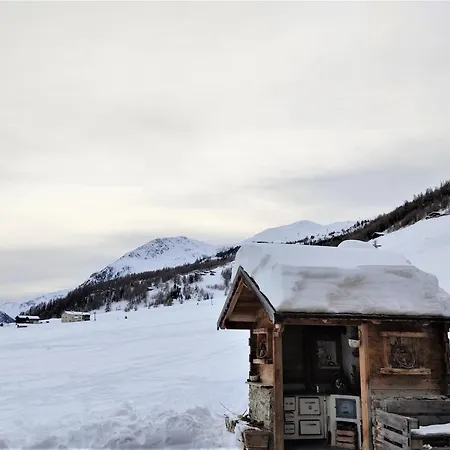 Mountain Milly * Livigno